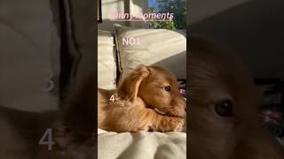 This Is So Funny, I Couldnt Stop Laughing