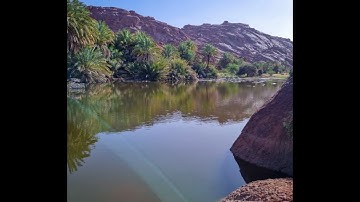 سورة القارعة كامله__ القارئ محمد الفقيه