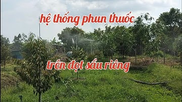 (0799508060) hệ thống phung thuốc chên đọt sầu riêng,