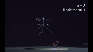 Insect-inspired strategies for safely landing flapping-wing aerial microrobots