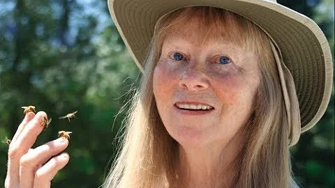 Le chant des abeilles de Jacqueline Freeman
