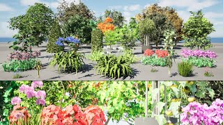 Flanders Plant & Tree 3d Pack animation in Unreal