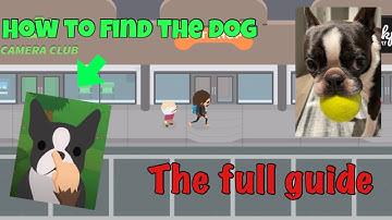 How to find the dog in Sneaky Sasquatch (50 sub special)