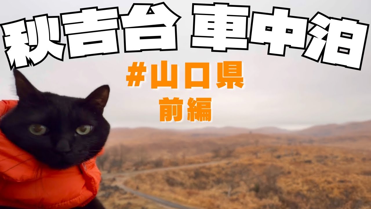 【猫と夫婦】道の駅めぐり＆日本三大カルスト秋吉台で車中泊