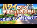 【ハワイ旅行】【ハワイに行く予定だった方必見。】 ご自宅でハワイ気分が味わえる!? ANA A380 フライングホヌ ワイキキ観光 ハワイ観光 ホノルル観光 | Waikiki Hawaii