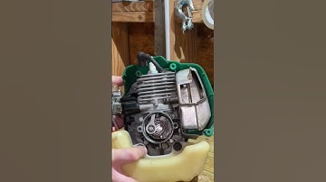 Inside of a 2 stroke engine! Small engine repair #shorts #tools #engine
