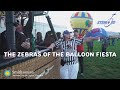 view The Zebras of the Balloon Fiesta digital asset number 1