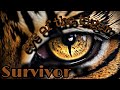 История одного хита: Survivor - «Eye of the Tiger» фильма Сильвестра Сталлоне Рокки 3 #rock #rocky