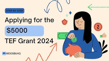 Moosbu - How to apply for the $5000 Tony Elumelu Foundation Grant Live Session