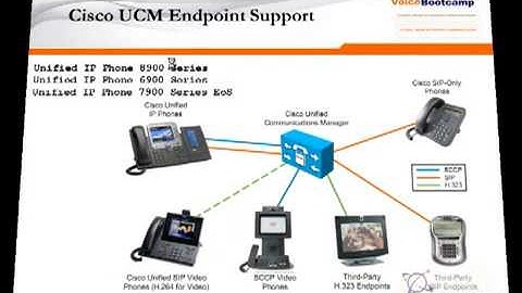CCNP Voice Plus Module 2 Chapter 6 End Point IP PHone   YouTube