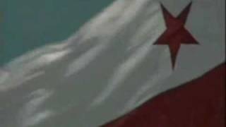 Sešívaní Drží Spolu Aneb Výchova Slávistů V Čechách