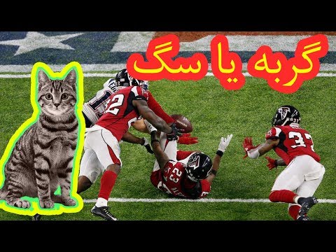 یازده نشانه‌ای که شما هوش هیجانی بیشتری دارید