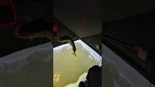 Doug's first pike on the spear 3/4/26