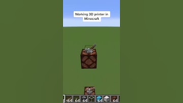 Minecraft 3D printer