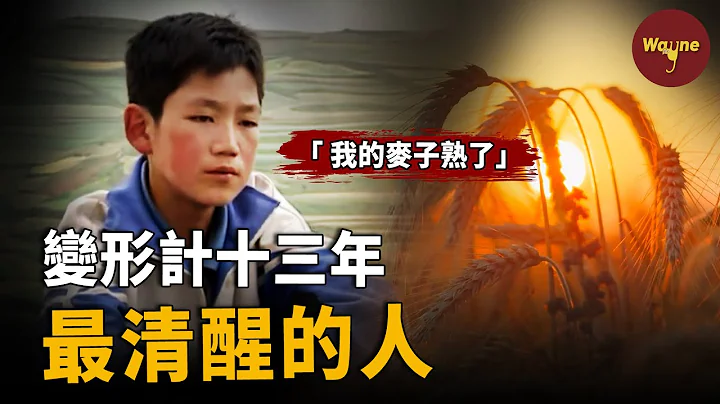 开年最爽！《变形计》16年，逆天改命的男孩赢得了富人游戏，放弃城市舒适生活回村里收麦子因「麦子熟了」 | Wayne调查 - 天天要闻