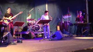 Matthias Bublath Band / Heavy Fever