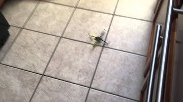 RC Quadcopters - Having a issue with my new Nano QX