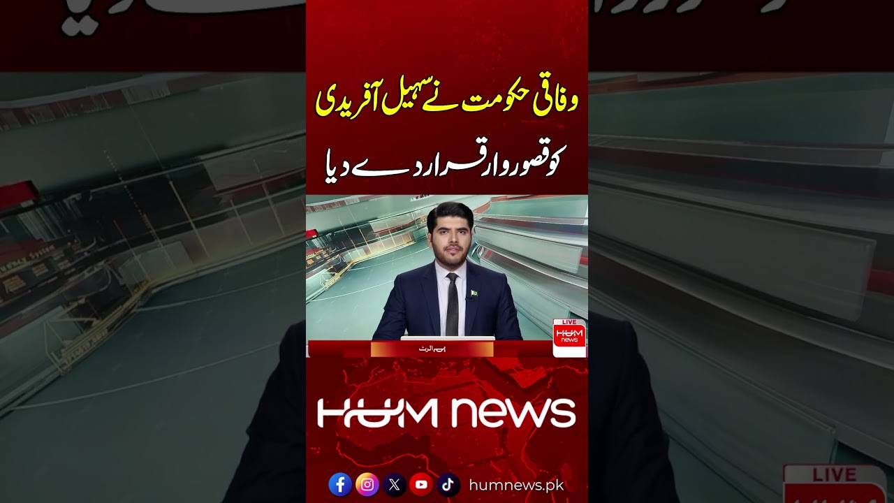 Federal Government Holds Sohail Afridi Responsible | Hum News | Pakistan