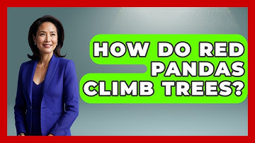How Do Red Pandas Climb Trees? - The Wild Life Explorer