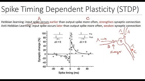 26C - Neuromorphic Computing - Spike Timing Dependent Plasticky STDP