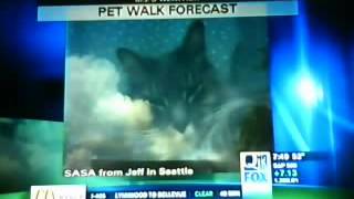 Sasa on Q13 Fox Pet walk forecast