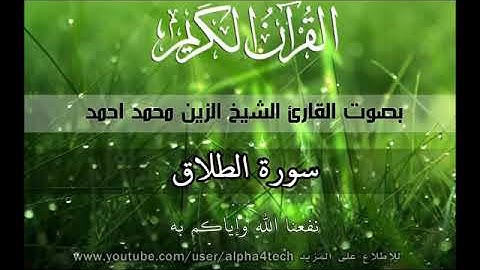سورة الطلاق الشيخ الزين محمد احمد 65