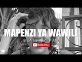 Maunda Zorro - Mapenzi ya Wawili / Nafurahi Instrumental Beats By Ram