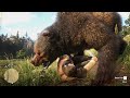I thought this bear was cute but....