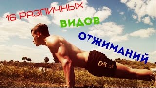 Отжимания. 16 Видов