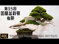 【盆栽】第95回 国風盆栽展（後期）【Bonsai】95th Kokufu Bonsai Exhibition 2021 Part2