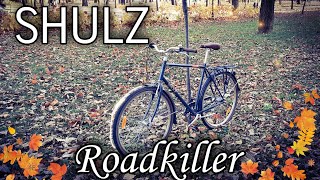 Shulz Roadkiller - неплохой ситибайк. Обзор велосипеда