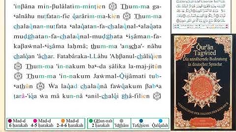 ختمة من مصحف التجويد باللغة الألمانية الصفحة رقم 342