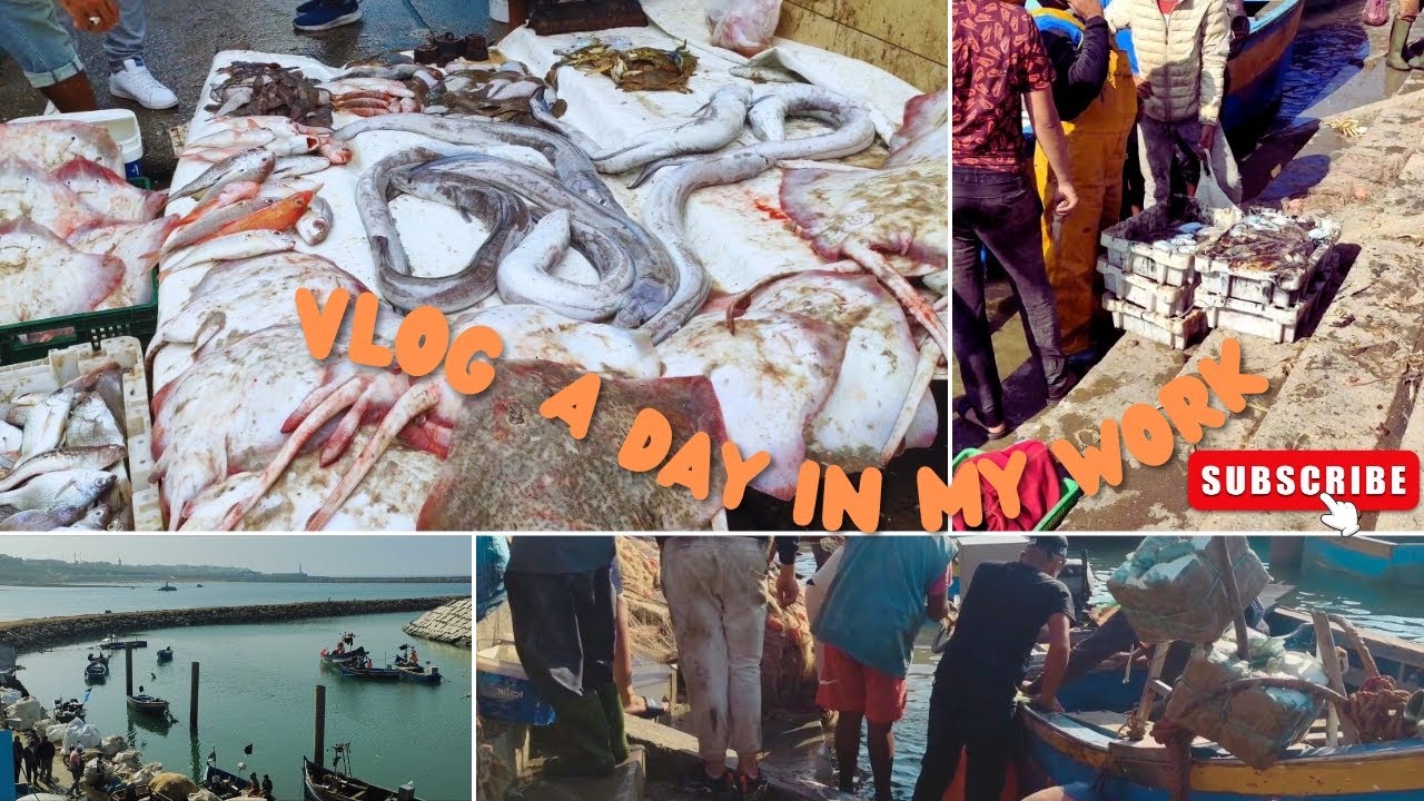 ⭕طرف الخبز حار لكن حلال ✌️✌️💪💪🛶🌊