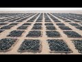Cara kuwait mengubah kuburan ban terbesar di dunia menjadi kota pintar proses daur ulang ban bekas