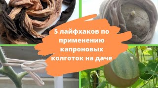 5 лайфхаков по применению капроновых колготок на даче