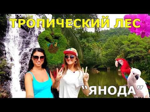 #33. Тропический лес ЯНОДА. Лучшая экскурсия на ХАЙНАНЕ!