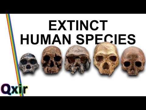 Homo Sapiens Were Not Alone