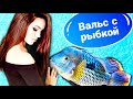 Все в ШОКе! Рыбка танцует рождественский вальс с девушкой!