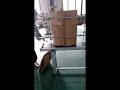 925-TA/M Semi-Automatic KD Vertical Case Transport