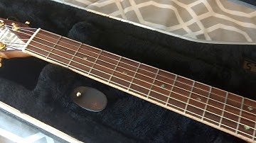 Custom Designed - Zager Easy Play Guitars