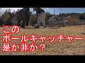 パークゴルフ「このボールキャッチャー　是か非か？」