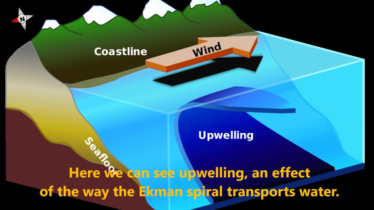 Hansen, Ekman's Spiral and the effects of Ekman Transport - YouTube