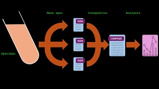Famous COMPASS' analytical strategy and workflow Profile