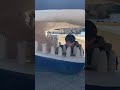 クジラの口内環境チェック #shorts