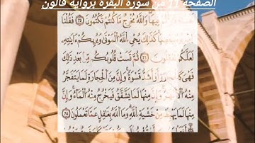 الصفحة 11 من سورة البقرة برواية قالون