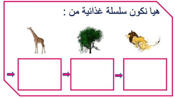 تبدأ السلسلة الغذائية في أي مجتمع بالمستهلكات.