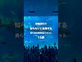 【知らない人多数】美ら海水族館に行ったついでに遊びに行けるおすすめ観光地を15ヶ所紹介！《沖縄旅行・観光・旅行》#沖縄旅行 #japan #okinawa #美ら海水族館