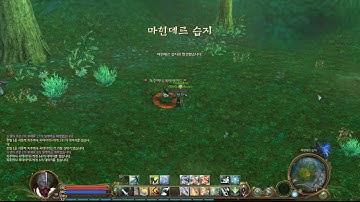 AION lvl 18 Chanter skills and skillchain