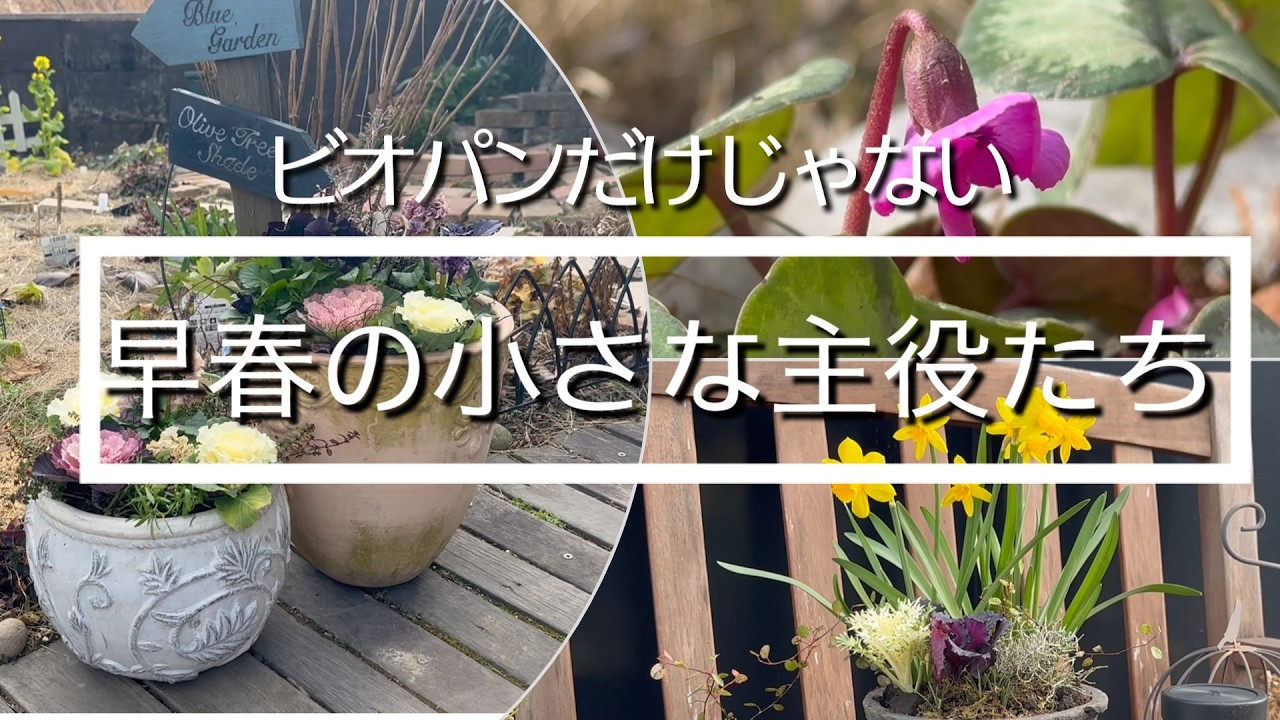 2月お庭ツアー]ビオパンだけじゃない！じいちゃんの代から続く「日本