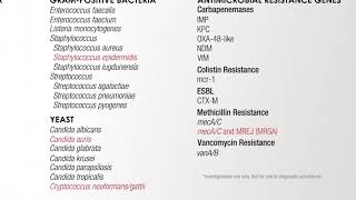 The Evolution of Bloodstream Pathogen Testing